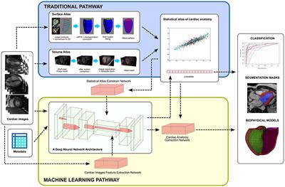 Artificial Intelligence in Cardiac Imaging With Statistical Atlases of Cardiac Anatomy